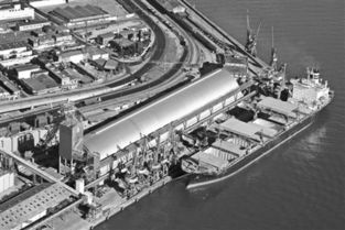 中國農業走出去步伐加快 漸形成買全球賣全球格局